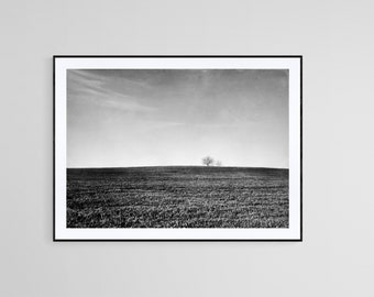 Monochrome Tree Photography Print, Rural Landscape Wall Art
