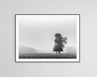 Nebliger Baum Landschaftsdruck, Schwarzweiß-Naturfotografie