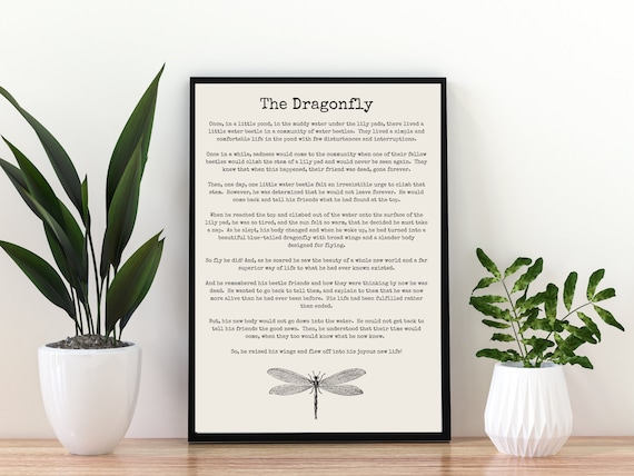 Dragonfly Story Print Print or Digital Download A4 A3 - Etsy