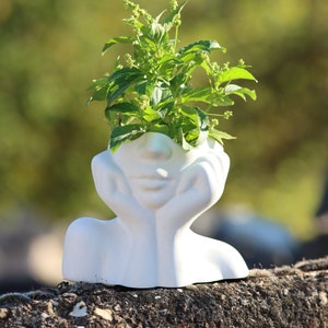 Pode incluir: Vaso de cerâmica branco em forma de cabeça humana com uma planta verde crescendo no topo. O vaso está sentado em uma superfície áspera e cinza.