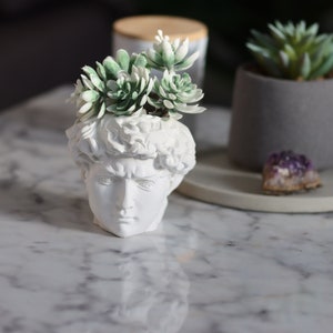 David Stabile plant bust made of white concrete head