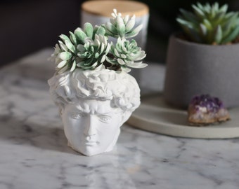 David Stabile plant bust made of white concrete head