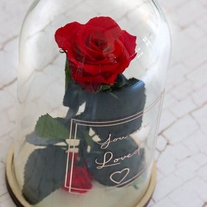 Personalisierbare Glasglocke mit ewiger Rose deine Wunsch Text und Symbol mit Bedeutung
