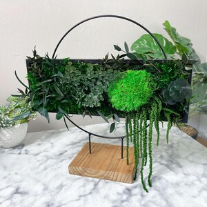 Op de afbeelding: Een zwarte metalen ring houdt een rechthoekig houten frame vast met een groen mos wandkunstwerk. De mos wandkunst is gemaakt van verschillende soorten groen mos en groen.