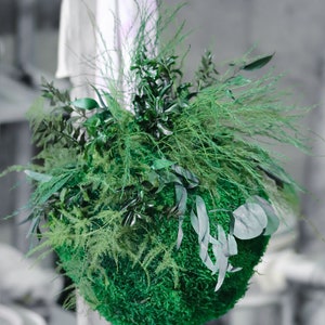 Può includere: Una palla di muschio verde con vari tipi di vegetazione, tra cui felci ed eucalipto, appesa a una corda.