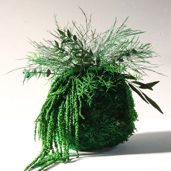 Kokedama Ranke "Kusa tsuru" Moosball Mooskugel mit Pflanzen