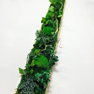 Long Moss Picture Forest Moss Ball Moss Rectangle Wooden Frame