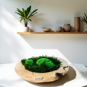 Moss Teak Kom Forest & Hill Moss Moss Kom Thought Wonders