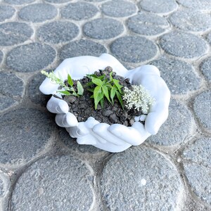 Könnte beinhalten: Weißer Keramik-Pflanztopf in Form von zwei Händen, die eine kleine Pflanze mit grünen Blättern und weißen Blüten halten. Der Topf steht auf einer grauen Steinoberfläche.