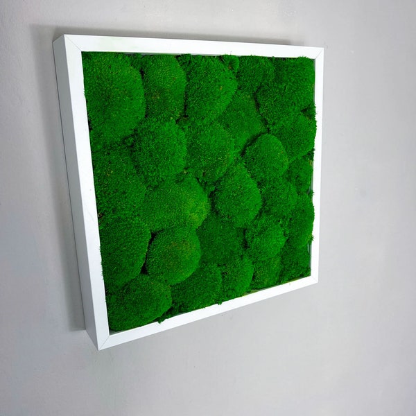 Moss picture frame square Type moss & ball moss