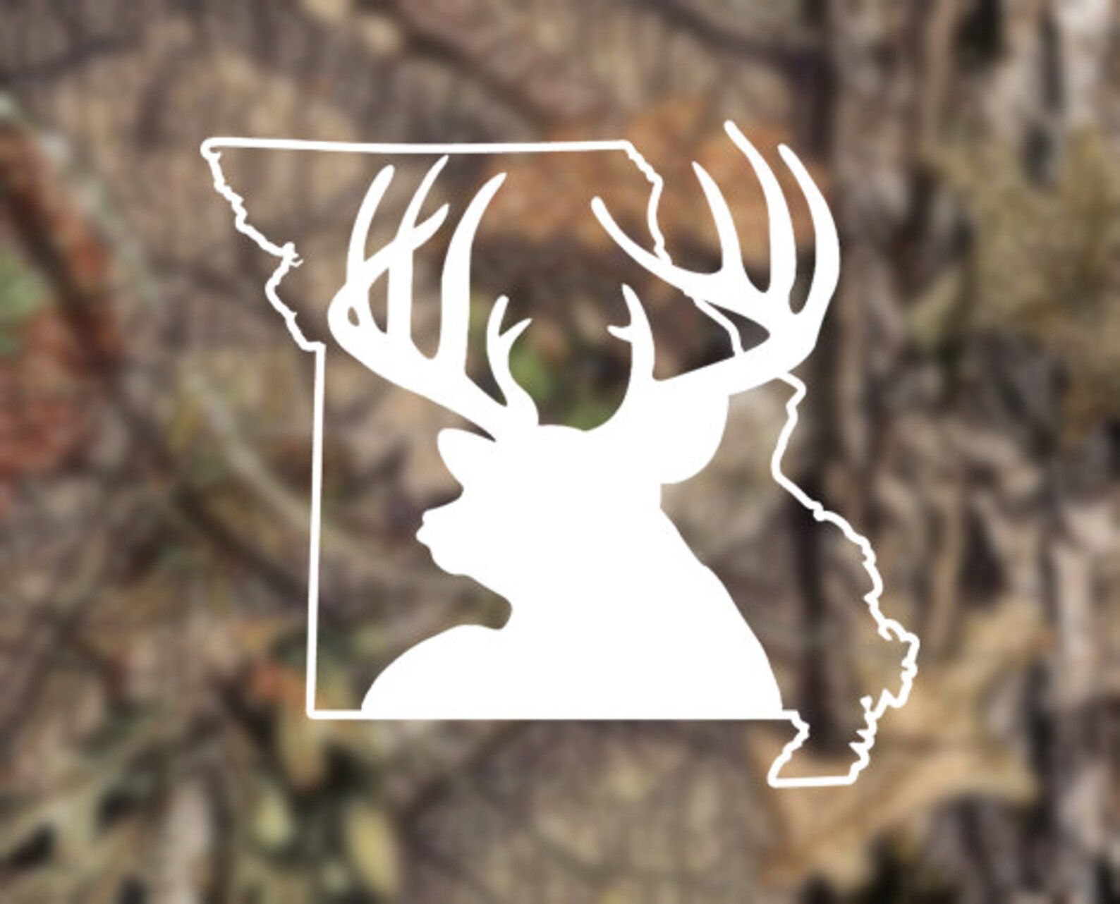 Mark Twain National Forest Soil Survey Built On Collaboration