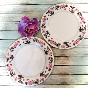 Noritake Set of Two 5208 Delrosa 10&quot; Dinner Plates Pink Floral Gold Trim Mother&#39;s Day