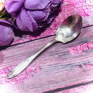 Yourex Sugar Spoon Silverplate Flatware Associated Silver Co. Pattern  1915 Panama