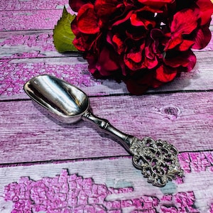 May include: A silver serving scoop with an ornate, decorative handle. The scoop is on a pink and white wooden surface with a red flower in the background.