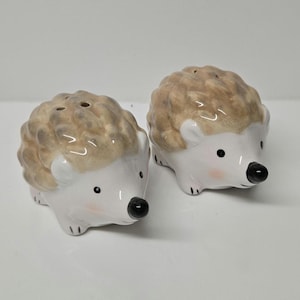 Ceramic Hedgehog Salt & Pepper Set