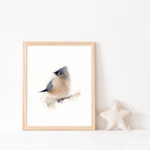 Cute Bird Watercolor Painting Fine Art Print From Original Painting, Bird Canvas Print For Living room Wall Decor, Nursery Wall Art