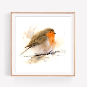 Rotkehlchen Vogel Aquarell Malerei: Quadratischer Kunstdruck