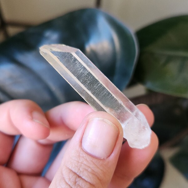 Small Water-Clear Lemurian Seed Crystal, Minas Gerais, 2"