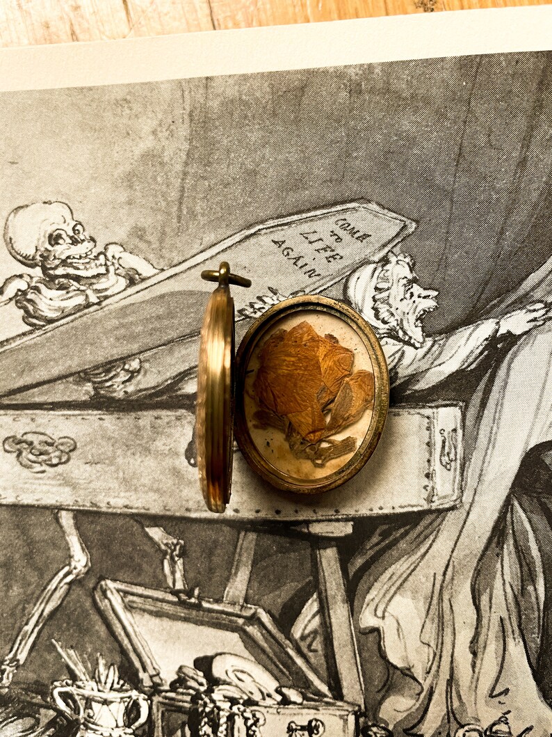 May include: A gold locket containing a pressed flower. The locket is open, revealing the flower. The locket is placed on top of a vintage print depicting a skeleton in a coffin. The print reads "Come to Life Again."