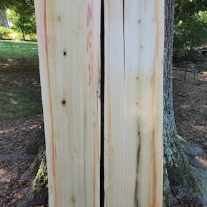 TULIP POPLAR Slabs (2-Live Edge slabs)  Spalted, Table Set, Thick