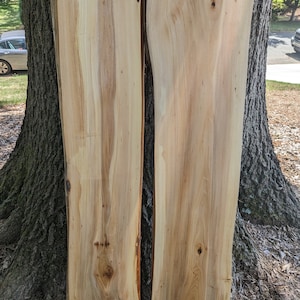 SLIPPERY ELM  (2) Slabs (Live Edge Slabs) Spalted (Thick Slabs) Unfinished (River Table Set)