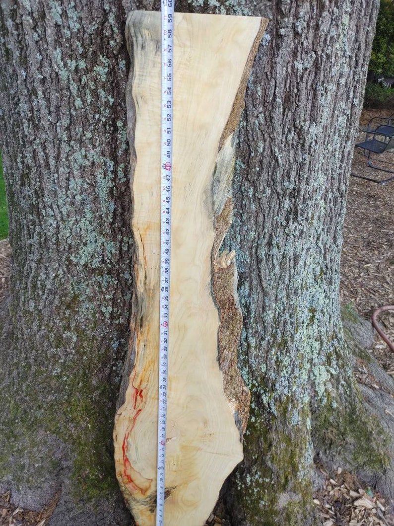 Box Elder Maple live Edge Red Flame Wood thick Slab Etsy