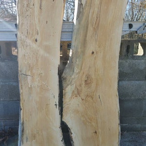 WORMY ASH  (Live Edge Slabs) (2) Spalted (Thick Slabs) River Table Set (Wide Set)