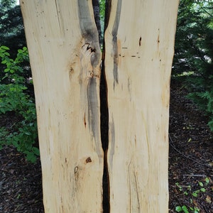 Box Elder Maple Wood (2 Slabs) (Live Edge) Spalted (River table set) thick slabs