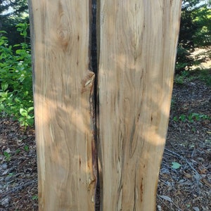 SLIPPERY ELM  (2) Slabs (Live Edge Slabs) Spalted (Thick Slabs) Unfinished (River Table Set)