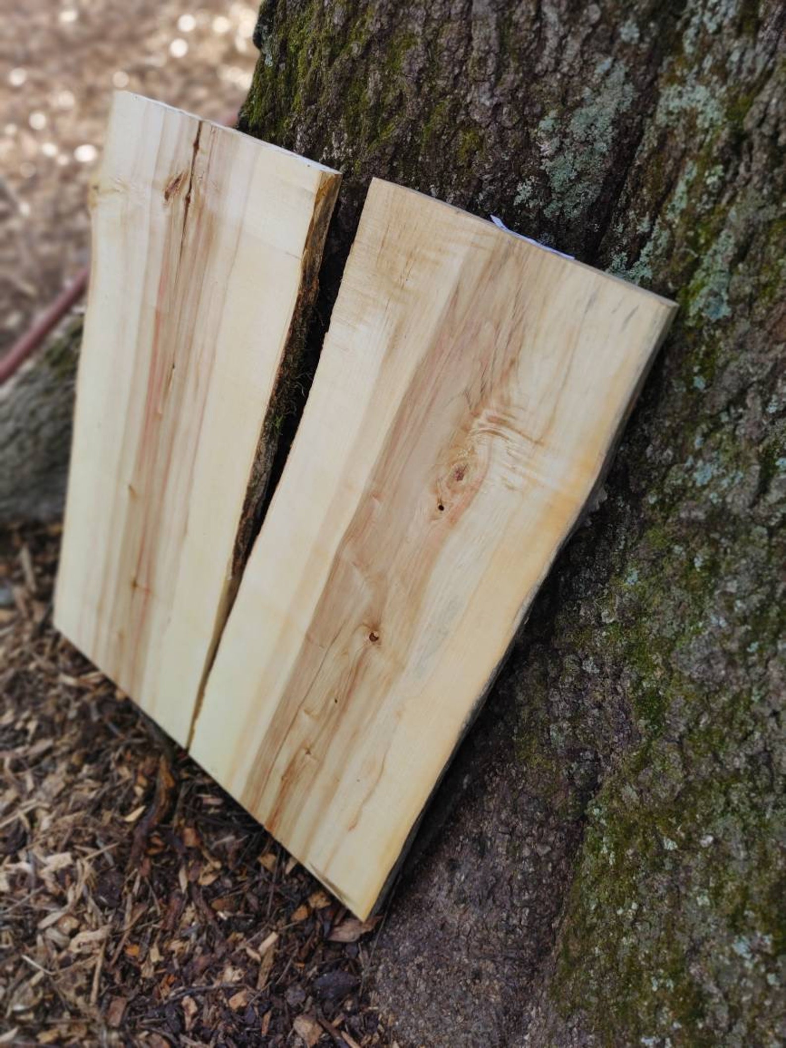 Box Elder Maple Slabs 2 live Edge Red Flame Wood river Etsy New Zealand