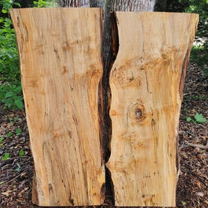 AMBROSIA MAPLE Slabs (Live Edge) 2 Slabs (River Table Set) Thick Slabs (Epoxy Slabs) Unfinished