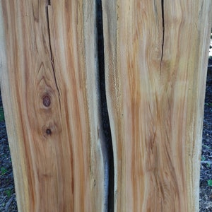 Southern Sycamore Spalted Slabs. (2) (Live Edge) River Table Set (Thick Slabs) Unfinished. Wide set.