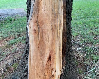 May include: A rectangular piece of light brown wood with a natural live edge on the left side. The surface displays a prominent wood grain pattern with darker brown streaks, knots, and variations in color throughout the smooth, flat face.