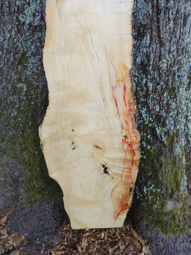 Box Elder Maple live Edge Red Flame Wood thick Slab Etsy