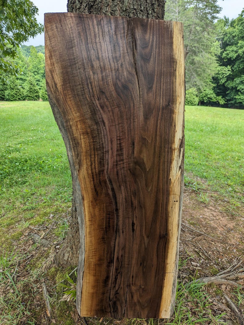 BLACK WALNUT Wood Slab (live Edge) Unfinished, Nice Bench, Table, Epoxy ...