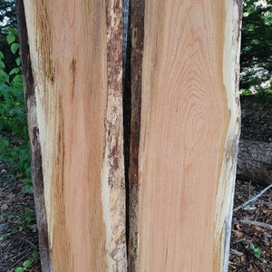 Red Oak slabs (live edge) 2 Slabs (River Table Set) Thick slabs (shelving set) Spalted