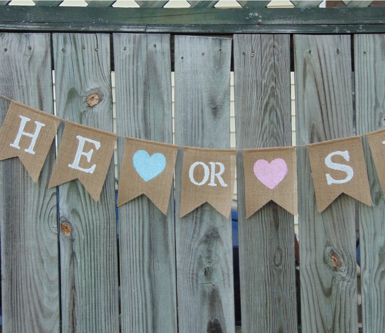 Gender Reveal Decorations He Or She Banner Gender Reveal Banner Gender Reveal Idea He Or She What Will It Be Boy Or Girl Banner Party Supplies Party Decor Vermontorganics Com