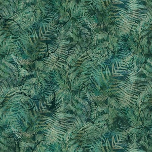 Northern Peaks evergreen ferns