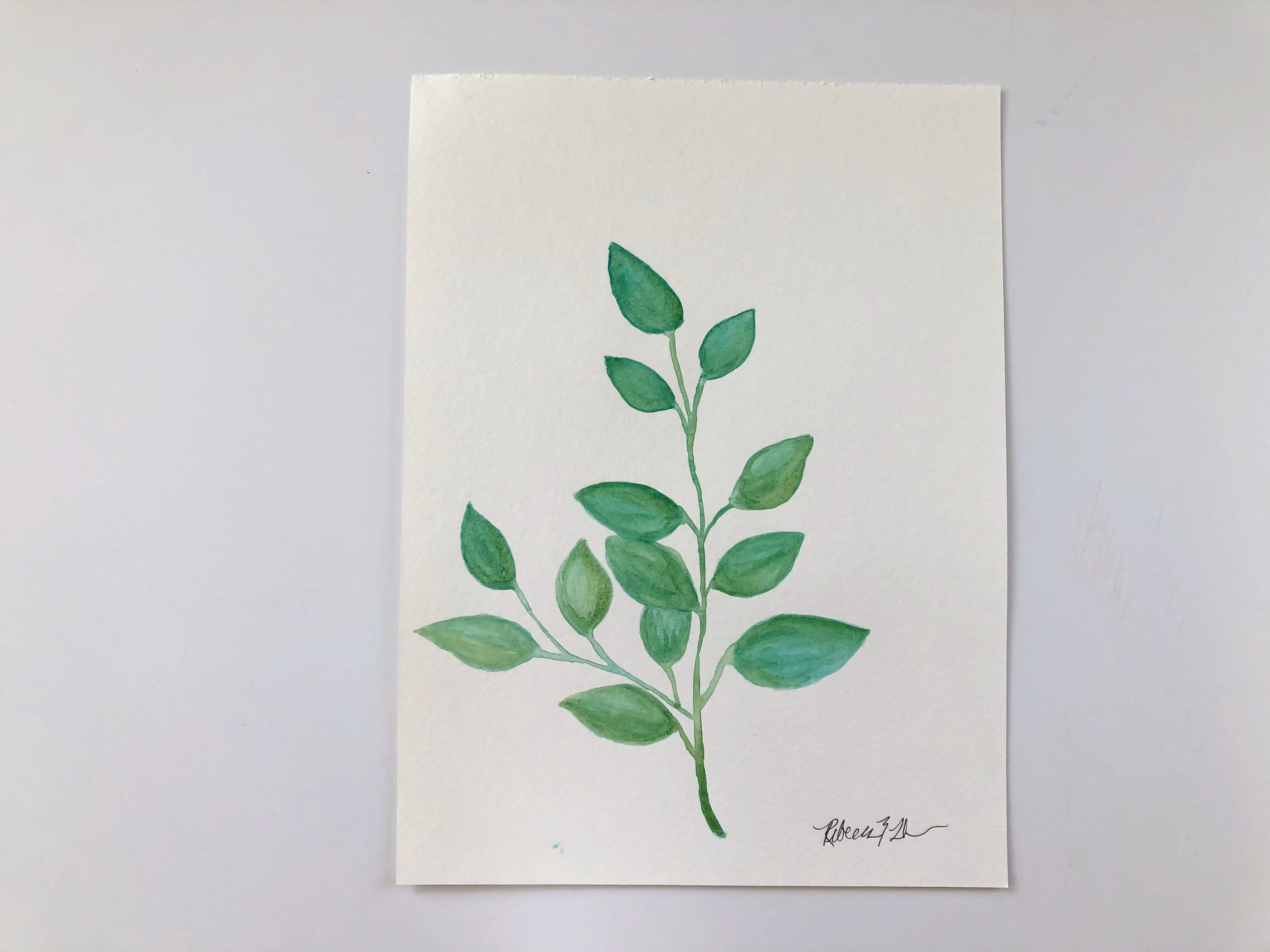 Botanical Leaf Watercolors No. 1 8x10in Print of Original - Etsy