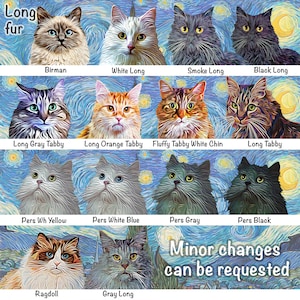 Starry Night Choose: Birman Cat, Orange Scottish Fold, Gray Scottish Fold, Longhair Cat, White Persian, Black Persian, Gray Persian, Grey Kitty, Maine Coon Cat, Ragdoll, Forest Cat