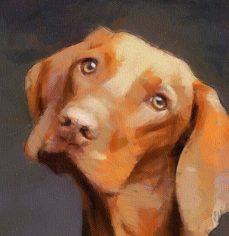 Custom Pet Portrait from your photos Fine Art painting Pet Etsy