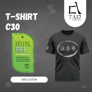 Wing Chun, Men&#39;s Sports T-Shirt, T-Shirt 100% Cotton, Short Sleeves, Light and Comfortable, Wing Chun TShirt C30
