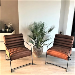 May include: Two brown leather chairs with black metal frames. The chairs are facing each other and have a plant in a woven basket between them.