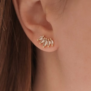 Brilliant drop stainless steel earrings / Women's earrings