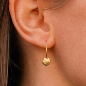 Stainless steel hoop earrings with shell pendant / Women&#39;s golden scallop shell earrings