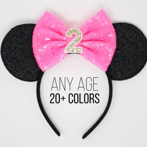2nd Birthday Mouse Ears | Mouse Ears | Mouse Birthday | 2nd Birthday Outfit | 2nd Birthday Ears | Choose Color + Number