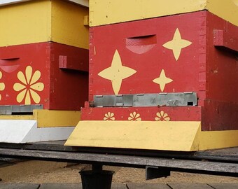 BEE Hive entrance reducer stainless steel. 14.5"x1.5" And yes these are my hives they have been doing amazing for the last three years.