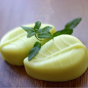 May include: Two green leaf-shaped bars of soap with a sprig of fresh mint leaves on top.