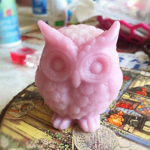 3D Owl Silicone Soap Mold Soap Mold Silicone Molds Owl Candle Etsy