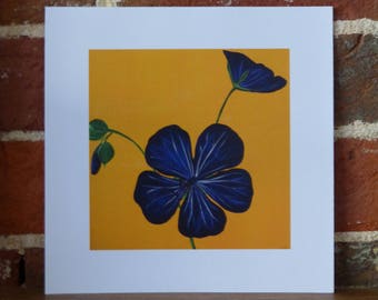 Meadow Cranesbill wildflower - 20cm x 20cm print
